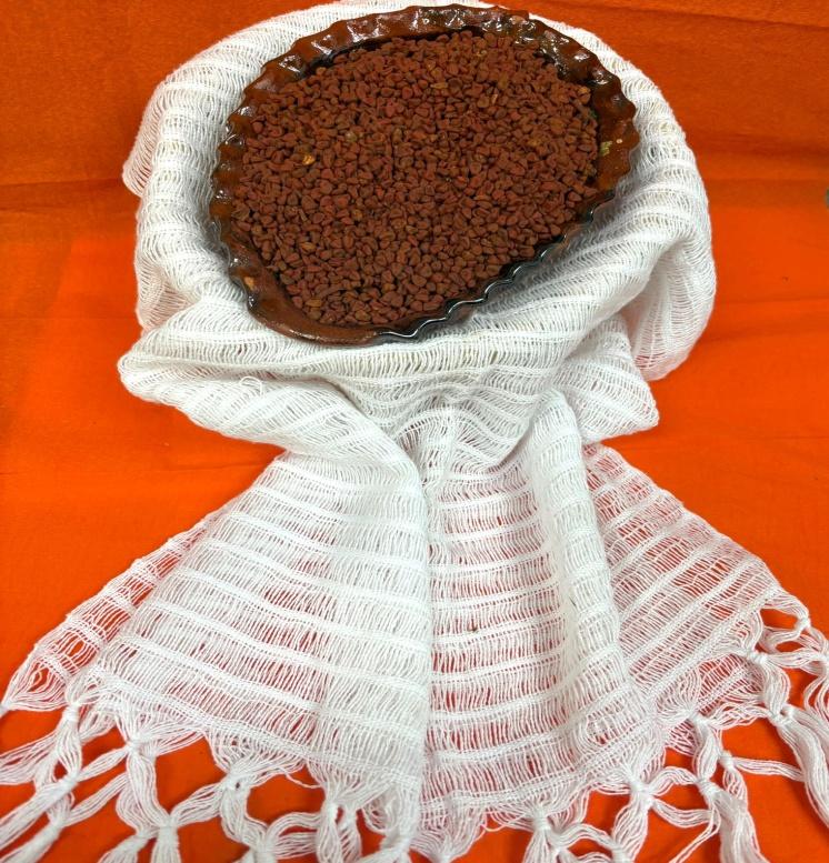 Achiote whole – Natural Color and Traditional Healing