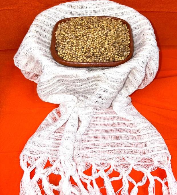 Coriander Seeds –semilla de cilantro