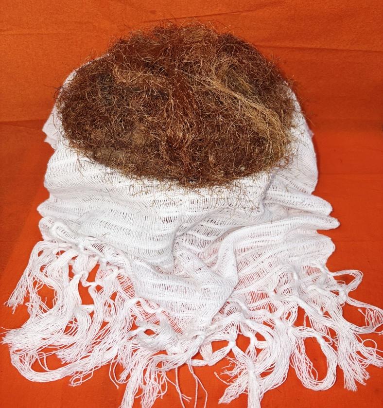 Cornsilk (Pelo De Elote)