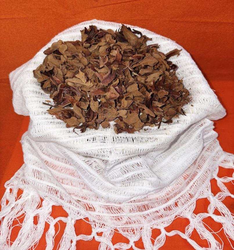 Flor De Manita (Mexican Hand Tree)