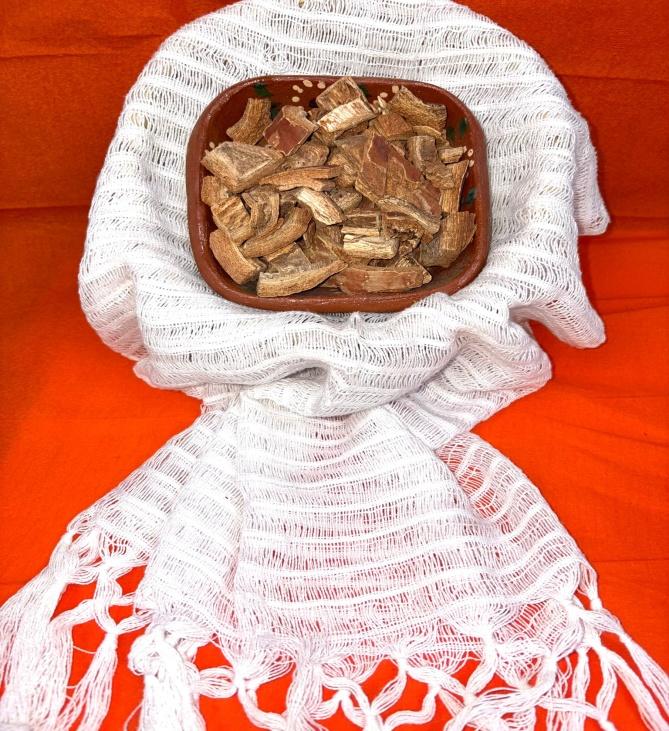 Palo Mulato – Traditional Skin Support & Antioxidant Herb