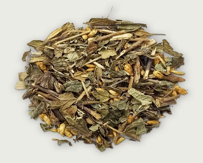 Prodigiosa (Brickellia grandiflora)