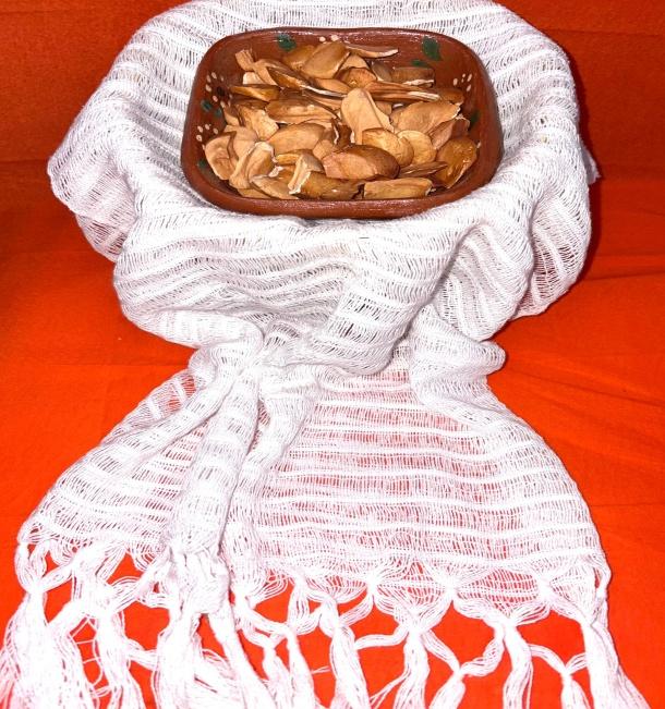 Semilla de Zopilote (Swietenia humilis)