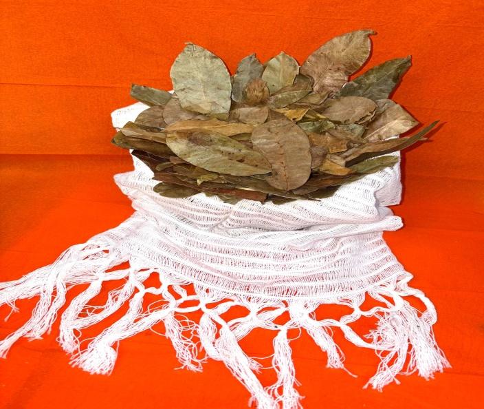 Soursop Leaves (Guanabana)