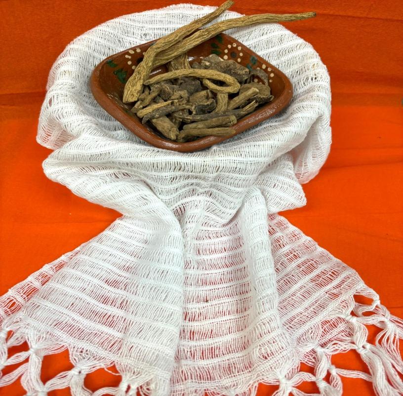 Valerian (Valeriana officinalis)