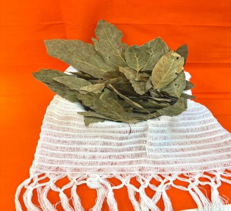 Whole Avocado Leaves (Hoja de Aguacate)