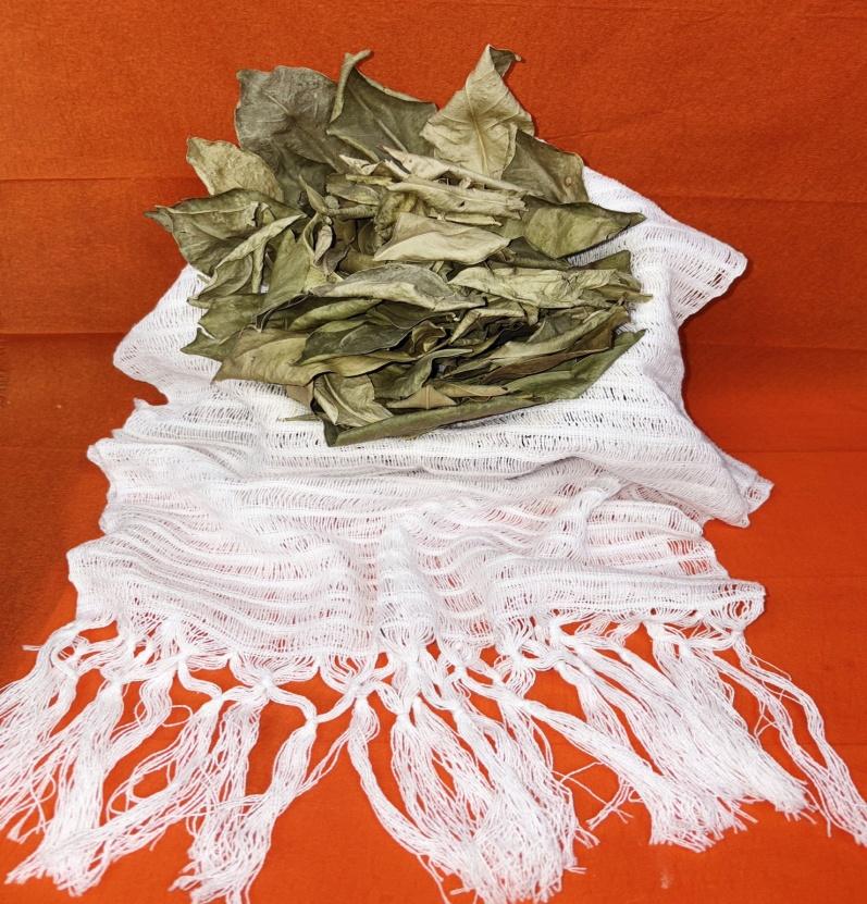 orange Leaves (Hoja de Naranjo)