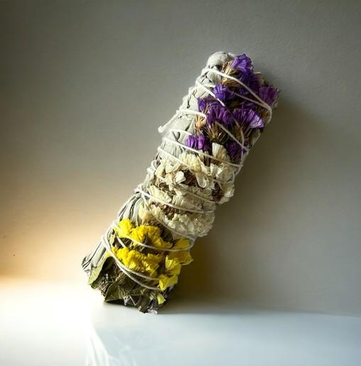 Sage tricolor Sinuata