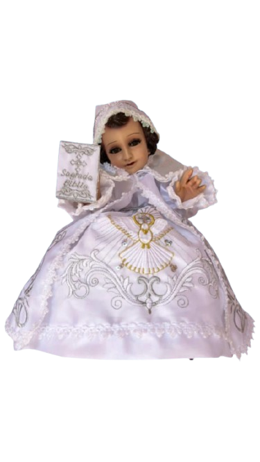 6e9004bc 71bb 4b1d 89c6 7de531a52340 8 scaled removebg preview