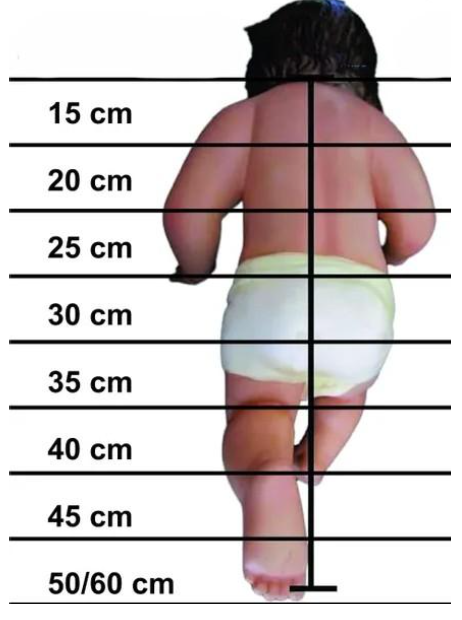 Description of image