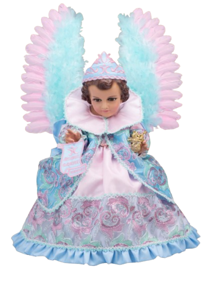 Screenshot 2026 01 20 144752 removebg preview