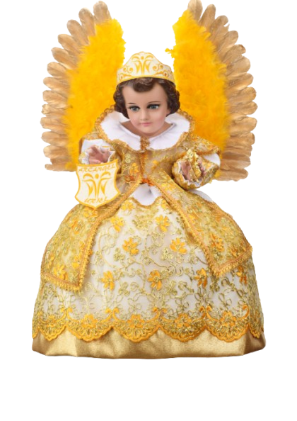 Screenshot 2026 01 20 144852 removebg preview