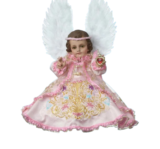 Screenshot 2026 01 20 145553 removebg preview