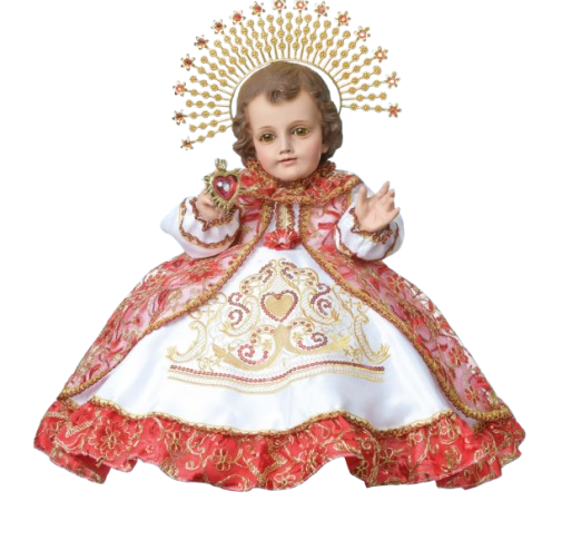 Screenshot 2026 01 20 153802 removebg preview