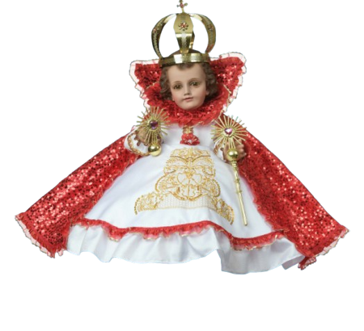 Screenshot 2026 01 20 153819 removebg preview