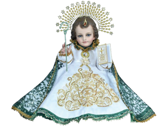 Screenshot 2026 01 20 154525 removebg preview