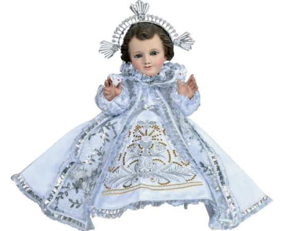 Screenshot 2026 01 20 154544 removebg preview