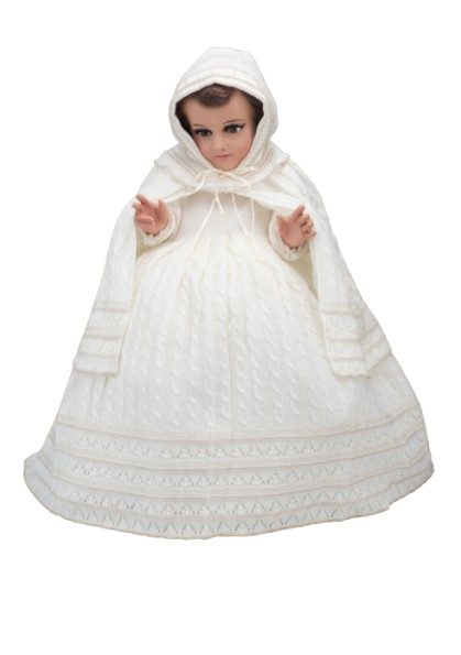 Screenshot 2026 01 20 155427 removebg preview