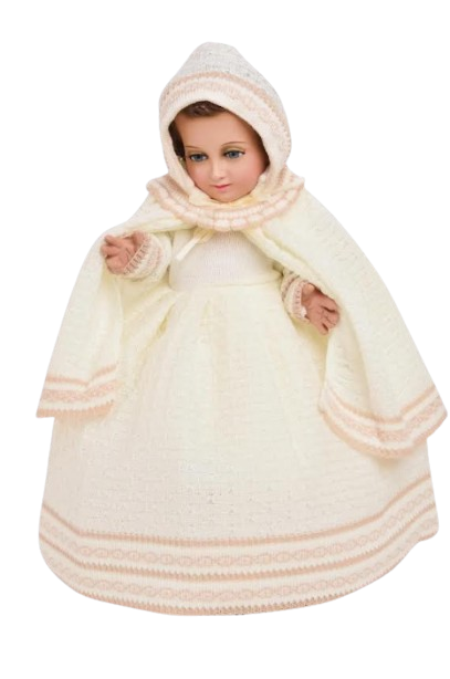 Screenshot 2026 01 24 142649 removebg preview